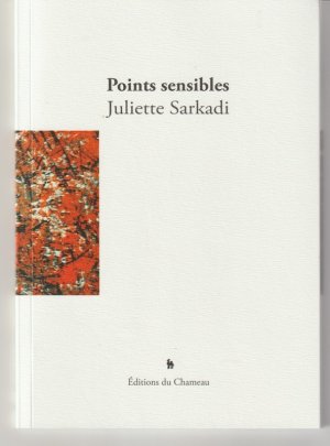 I.D n° 1181 : Points sensibles, de Juliette Sarkadi