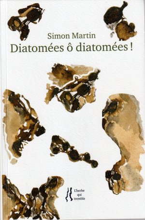 I.D n° 1188 : Précis des choses sans importance, qui pourtant font rêver Simon Martin